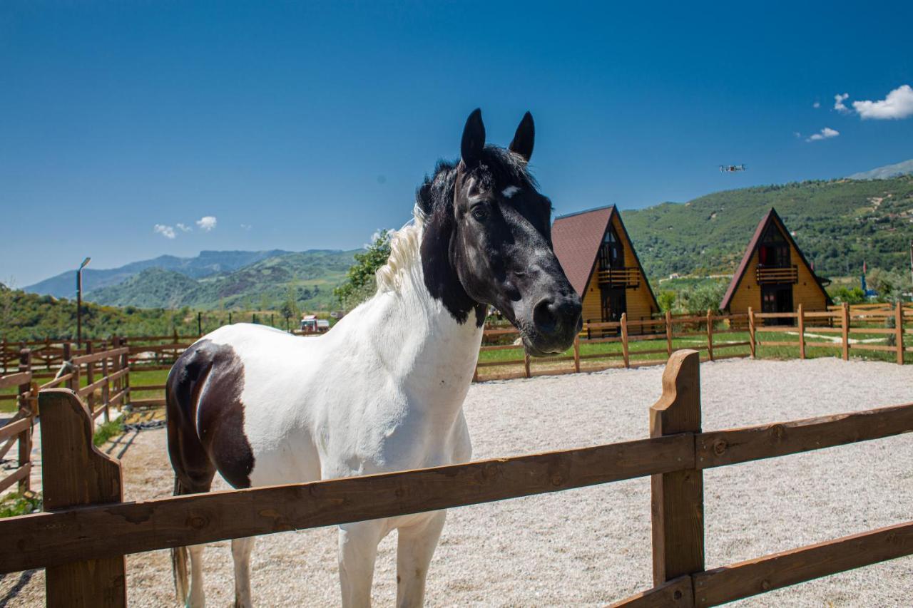 Sancho Farm Albania Villa Memaliaj Exteriör bild