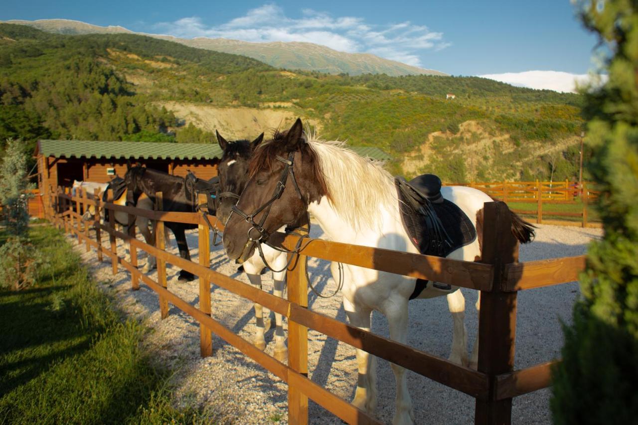 Sancho Farm Albania Villa Memaliaj Exteriör bild