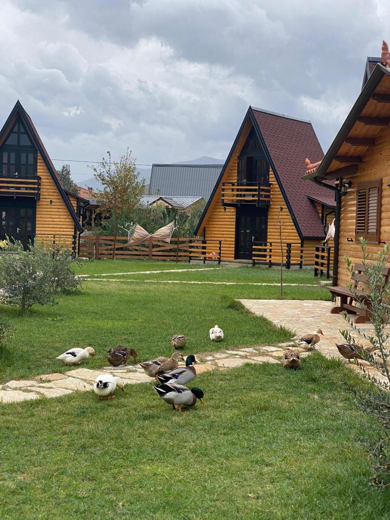 Sancho Farm Albania Villa Memaliaj Exteriör bild