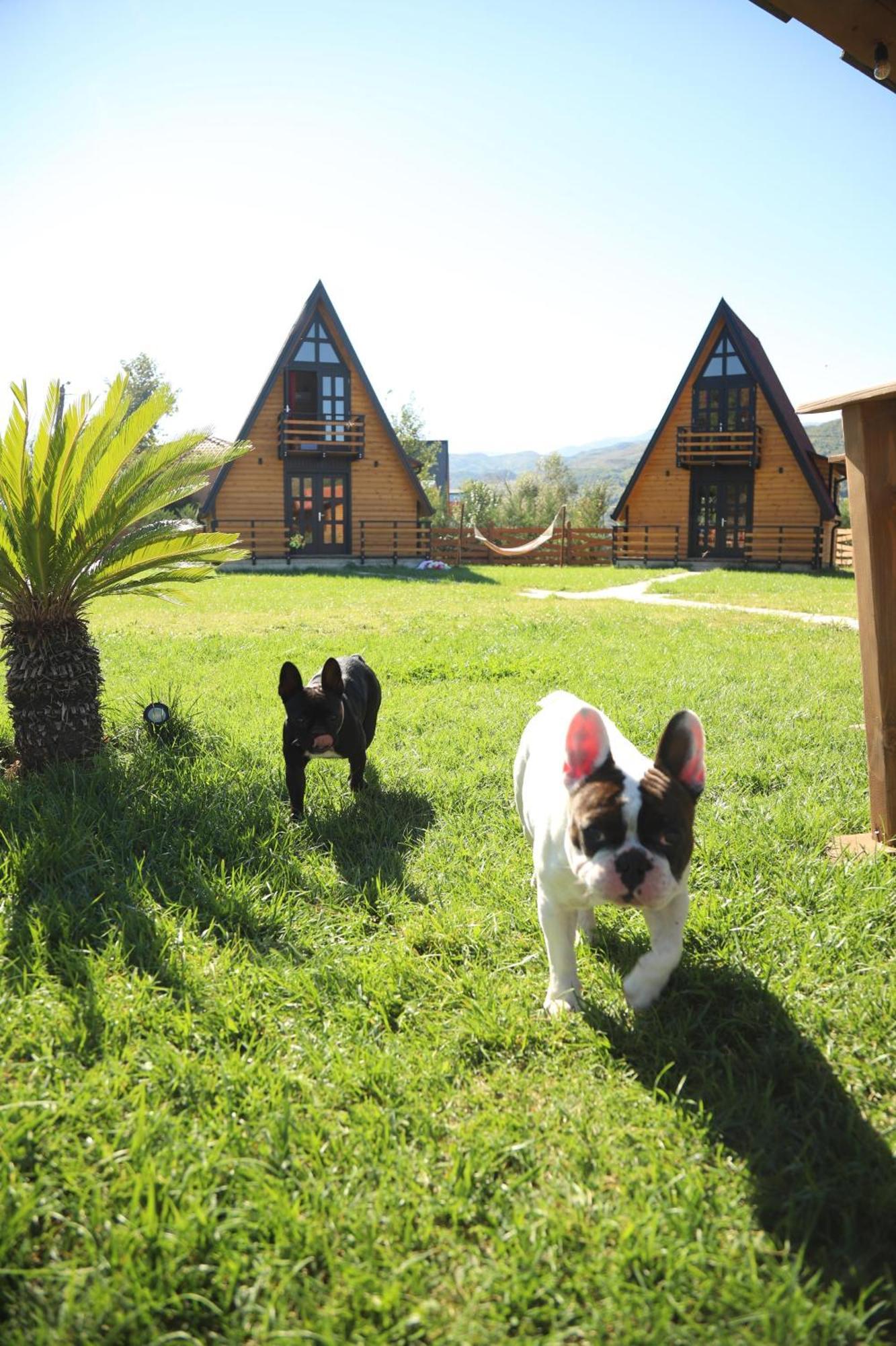 Sancho Farm Albania Villa Memaliaj Exteriör bild