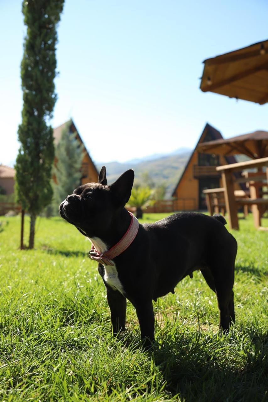 Sancho Farm Albania Villa Memaliaj Exteriör bild